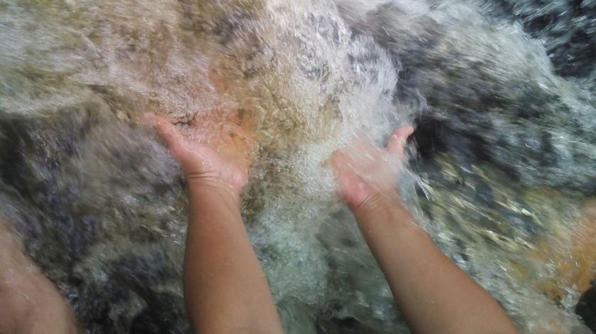 994712_10204853481408079_6643143076402921422_n