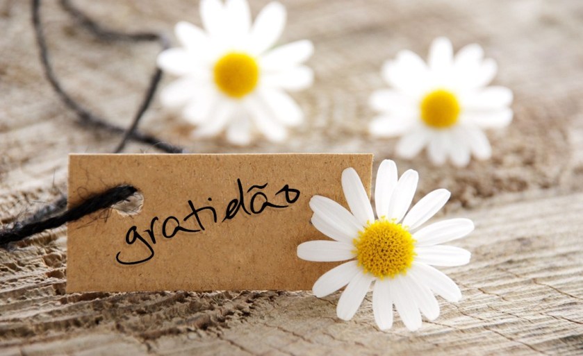 gratidao