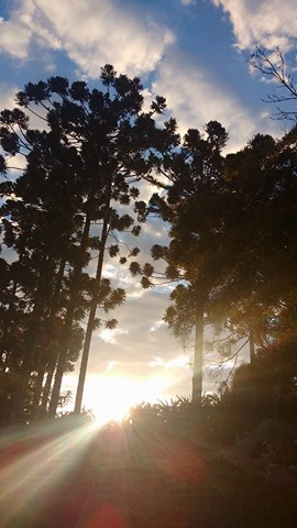 19576197_1405664909514178_1289928328_n