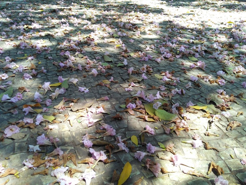 IMG_20180925_124611379