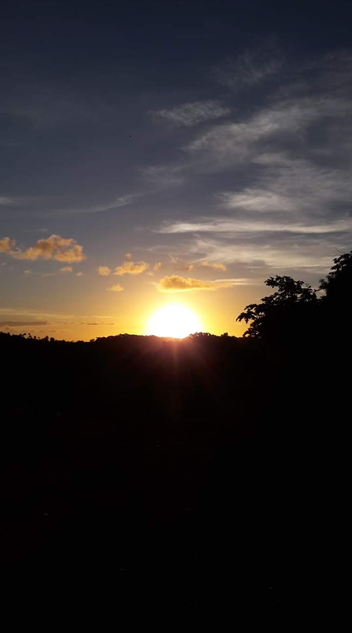 FB_IMG_1558871884401